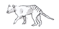 Tasmanian Devil Australia Sticker
