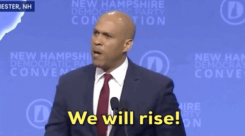 We Will Rise New Hampshire GIF by Election 2020