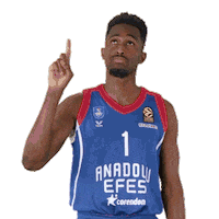 Click Rodrigue Beaubois Sticker by Anadolu Efes SK