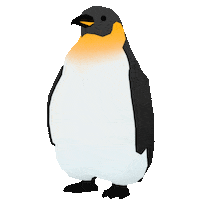 Penguin 企鵝 Sticker