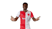 Praise Me Sticker by SK Slavia Praha