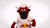 Celebrate Red Bull GIF by FC Red Bull Salzburg
