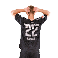 Bundesliga Name Sticker by SC Paderborn 07