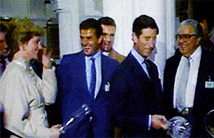 brf GIF