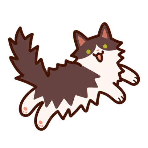 Cat Zorrita Sticker