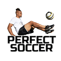 ps quincy Sticker by Perfect Soccer