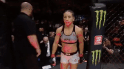 mma ufc218 GIF by UFC