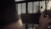 Cloud Gaming GIF by Xbox