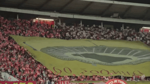 GIF by FK Crvena zvezda