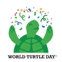 Turtles Tortoise Sticker by World Turtle Day