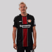 europa league what GIF by Bayer 04 Leverkusen