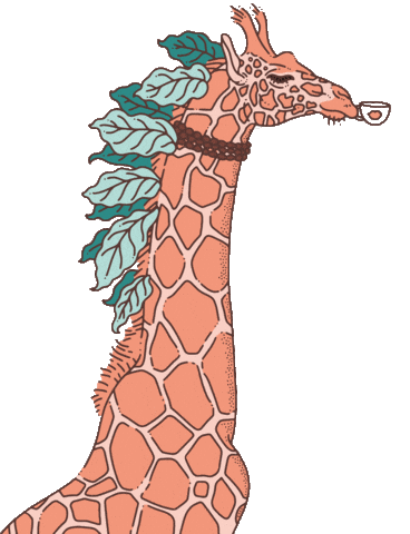 somaho_speciality_coffee giphyupload coffee kaffee giraffe Sticker