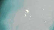 samirawinter film rainbow space winter GIF