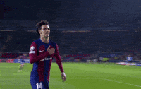 Champions League Football GIF by UEFA