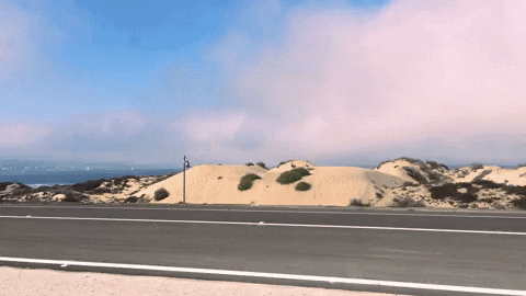 Driving Bay Area GIF by Chris