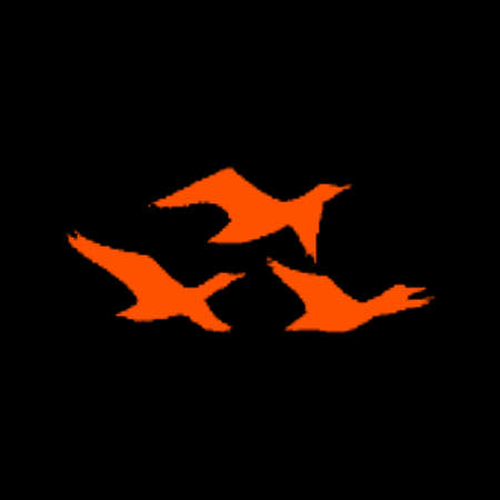 fbrjunior giphygifmaker fbr fbrjunior laviene GIF