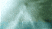 freddie highmore GIF by A&E