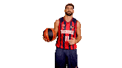 Liga Endesa Basketball Sticker by ACB