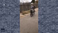Five-Year-Old Sheriff Rides Out on Trusty Steed in Albuquerque