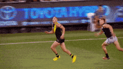 carlton fc GIF by Carlton Football Club