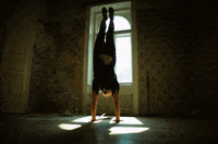 mezitlab dance dancer GIF