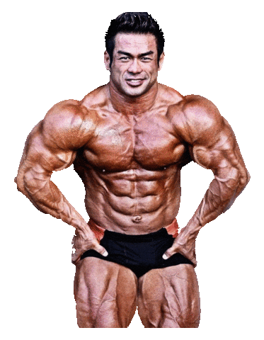 Arnold Schwarzenegger Japan Sticker by Gaspari Nutrition