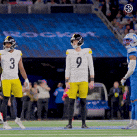 Celebration Nfl GIF by Pittsburgh Steelers