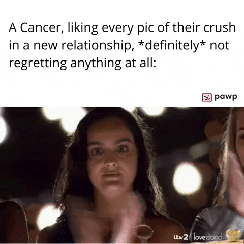 mypawp giphyupload GIF