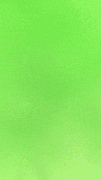 Beetle GIF by Youtooz