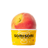 Dessert Asian Sticker by SomiSomi