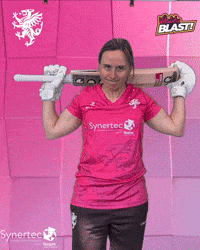 T20 Vitality Blast GIF by Somerset County Cricket Club