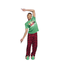 Christmas Holiday Sticker by Five Below