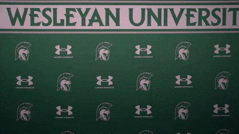 Iwuwvb24 GIF by iwusports