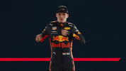 ver formula 1 GIF by Red Bull Racing