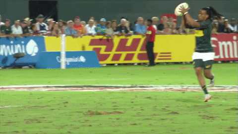 Avoid South Africa GIF by World Rugby