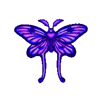 Luna Moth Love Sticker