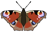 Creepy Crawlies Butterfly Sticker