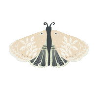 Earth Butterfly Sticker