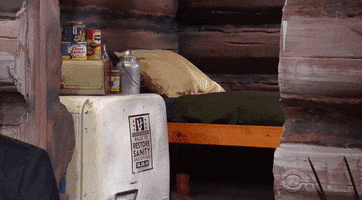 stephen colbert GIF by The Late Show With Stephen Colbert