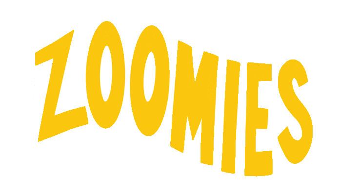 Dogs Zoomies Sticker by Jump Consulting