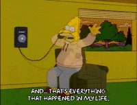 the simpsons episode 25 GIF