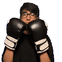 Sport Sparring Sticker