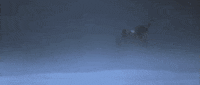 man in the wilderness GIF by Warner Archive