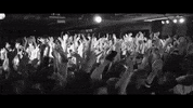thefaimofficial amelie thefaim GIF