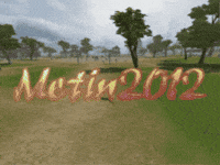 Fkmetin2 GIF
