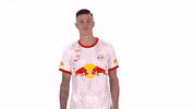 Shake Happy Dance GIF by FC Red Bull Salzburg