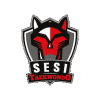 Taekwondo Sticker by Sesi Esporte