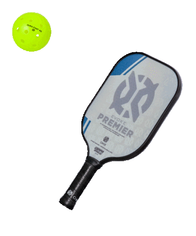 escalade_sports giphyupload pickleball paddle onix Sticker