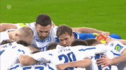 Football Team GIF by FC Dynamo Moscow