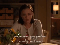 season 4 netflix GIF by Gilmore Girls 